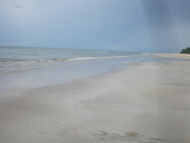 SANY7348.jpg